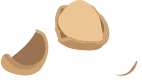 cracked nut